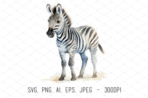 Cute Zebra Sublimation Clipart: Graphics & Illustrations for Warm, Playful Branding