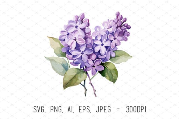 Lilac Flowers Floral Watercolor Clipart