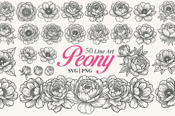 Peony Flower Line Art Clipart: Graphics & Illustrations for Sellers
