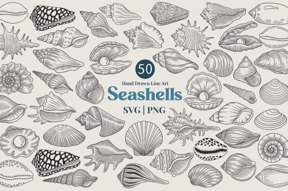 Seashell Line Art Clipart Bundle: Graphics & Illustrations