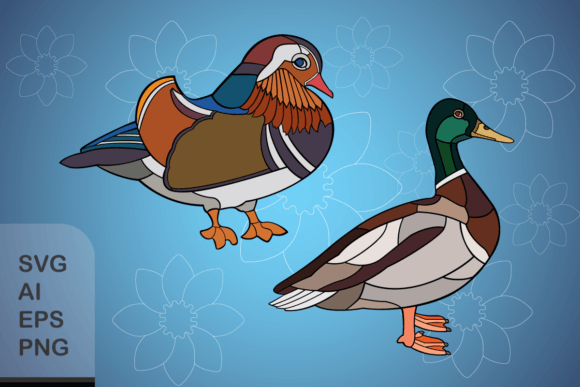 Set of Ducks: Premium Graphics & Illustrations