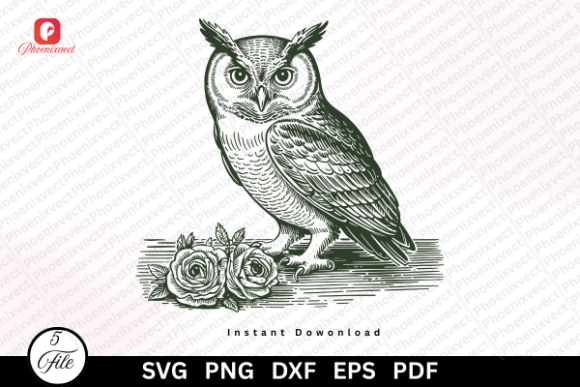 Vintage Hand Drawn Woodland Bird Owl SVG Graphics & Illustrations