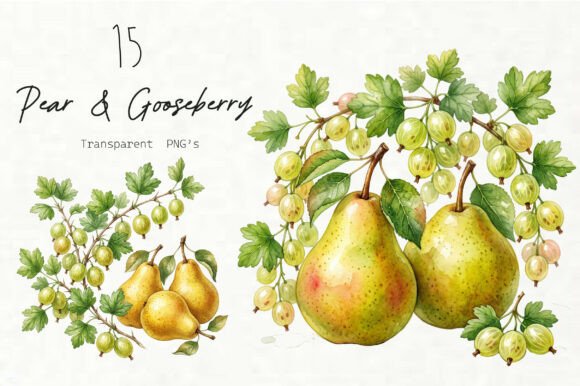 Watercolor Pear Gooseberry Set: Graphics & Illustrations for Editorial Use