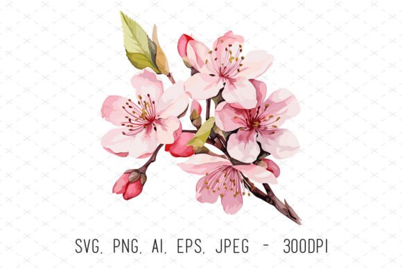 Watercolor Pink Cherry Blossom Graphics & Illustrations