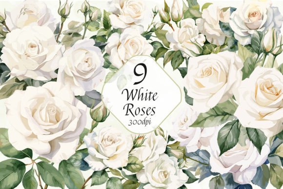 White Roses Sublimation Clipart Bundle: Graphics & Illustrations for Elegant Branding